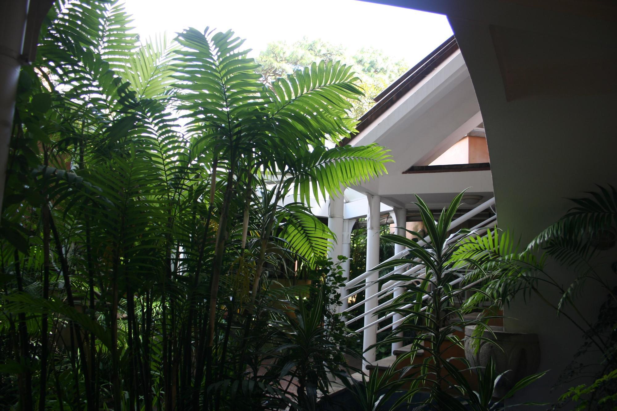 Hotel Ciudad Vieja Guatemalaváros Kültér fotó